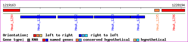 gene map