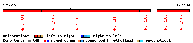 gene map