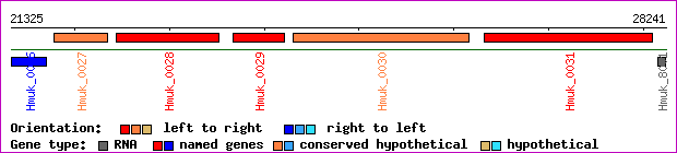gene map