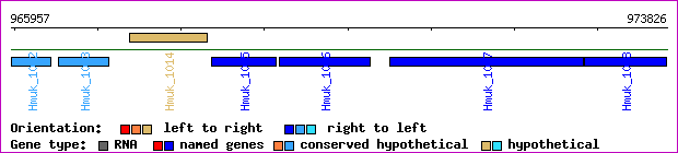 gene map