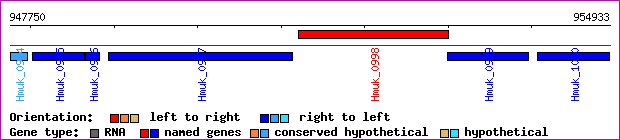 gene map