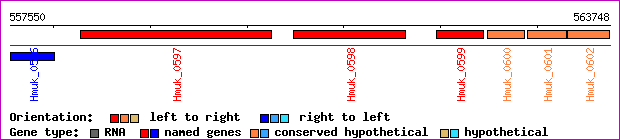 gene map
