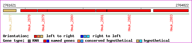 gene map