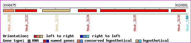 gene map