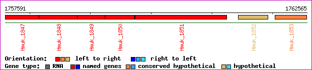 gene map