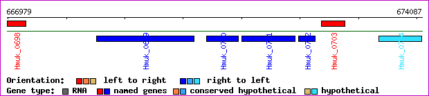 gene map