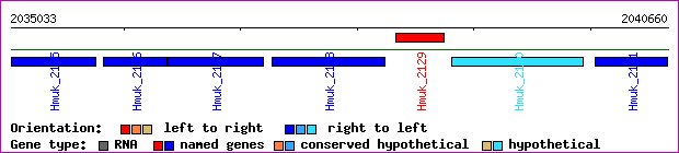 gene map