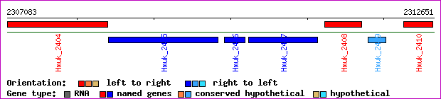 gene map