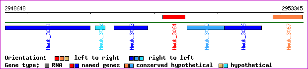 gene map