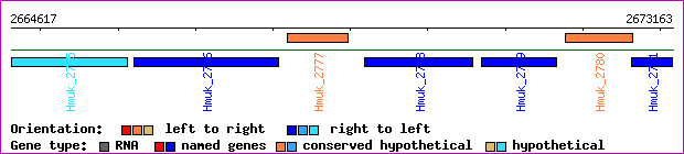 gene map