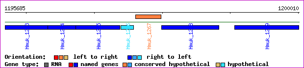 gene map