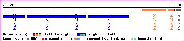 gene map