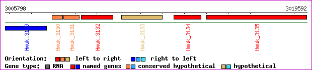 gene map