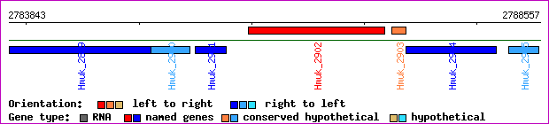 gene map