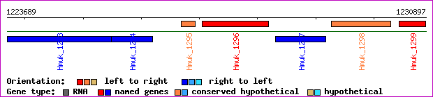 gene map