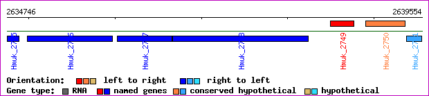 gene map