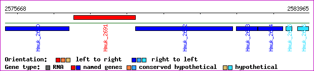 gene map
