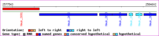 gene map