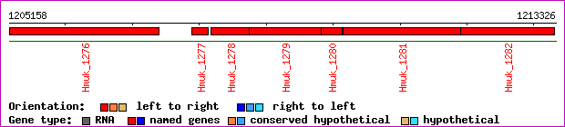 gene map