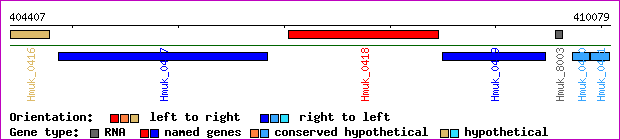 gene map