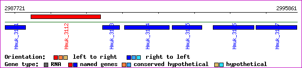 gene map