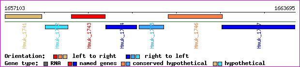 gene map