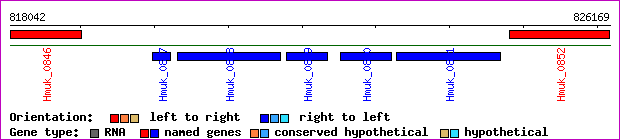 gene map