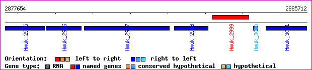 gene map