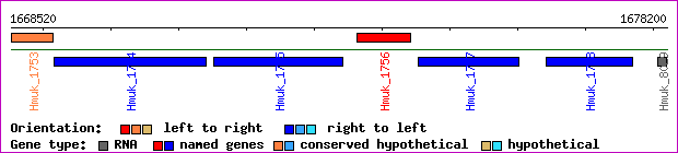 gene map