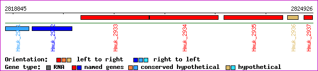 gene map