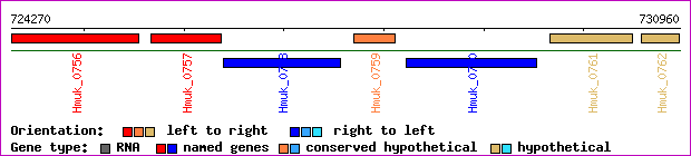 gene map