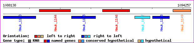 gene map