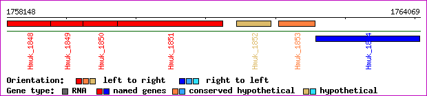 gene map