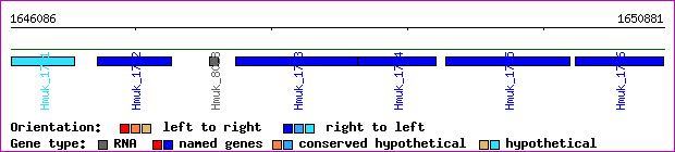 gene map