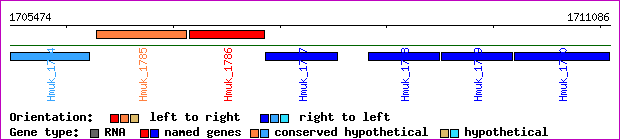 gene map