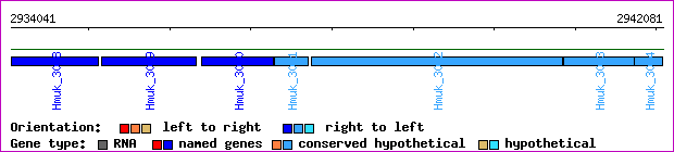 gene map