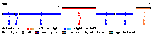gene map