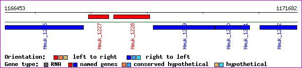 gene map