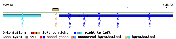gene map