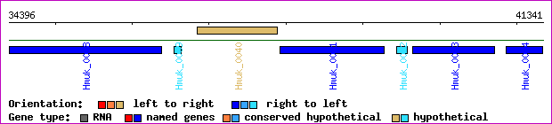 gene map