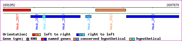 gene map