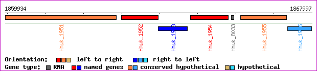 gene map