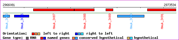gene map