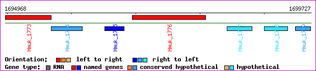 gene map