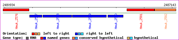 gene map