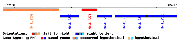 gene map