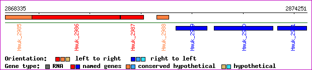 gene map