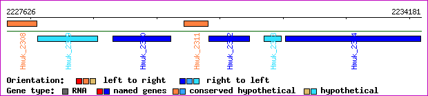 gene map