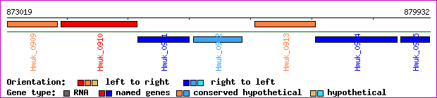 gene map
