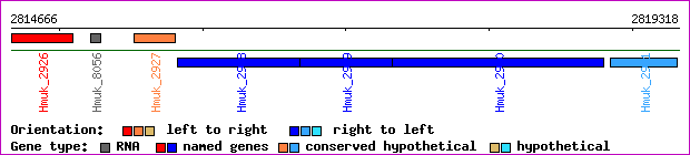 gene map